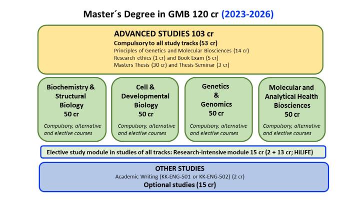 Picture of the structure of the GMB degree in curriculum 2023-2026