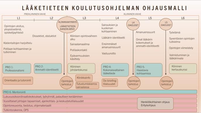 Lääketieteen koulutusohjelman ohjausmalli aikajanana.