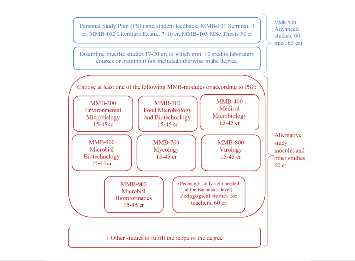 MMB programme's structure in 2023-26