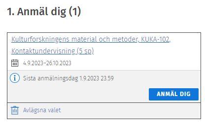 Skärmdump av Sisus användargränssnitt.
