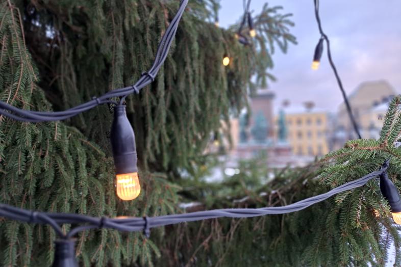 Christmas lights in the Senate Square christmas tree.