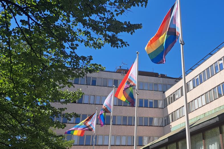 Prideflaggor framför Porthania.