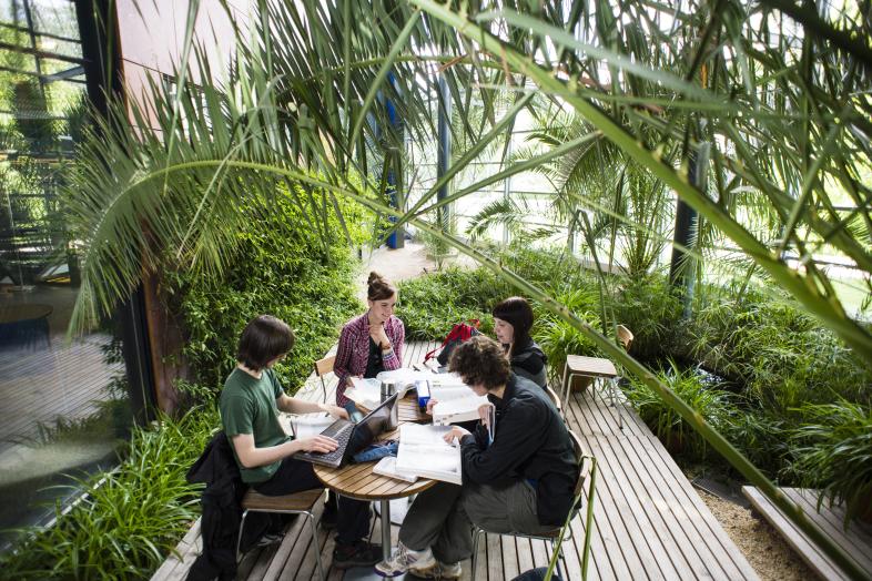 Opiskelijaryhmä Viikin kampuskirjastossa