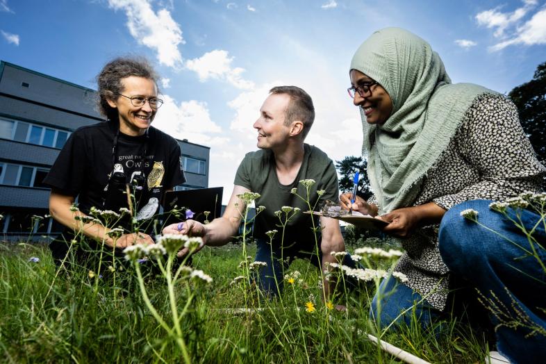 Tre personer som tittar på växtligheten på campus och gör anteckningar en solig sommardag.
