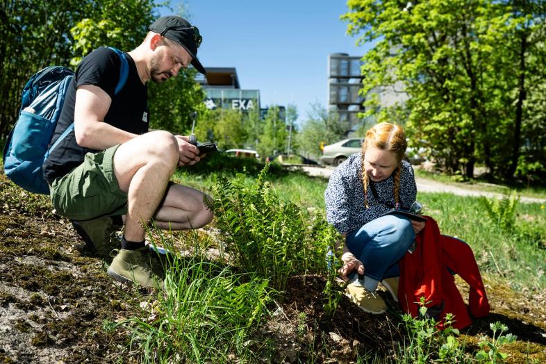 Två personer utforskar campusnaturen en solig sommardag på Campus Gumtäkt.