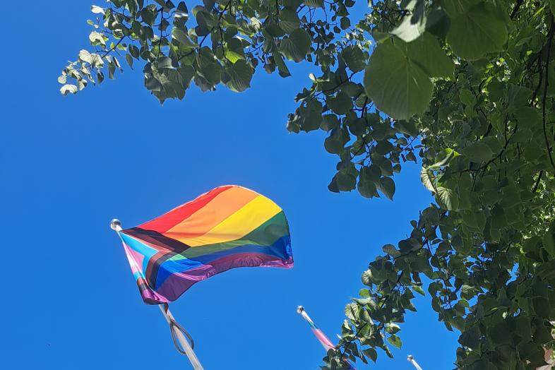 Pride lippu