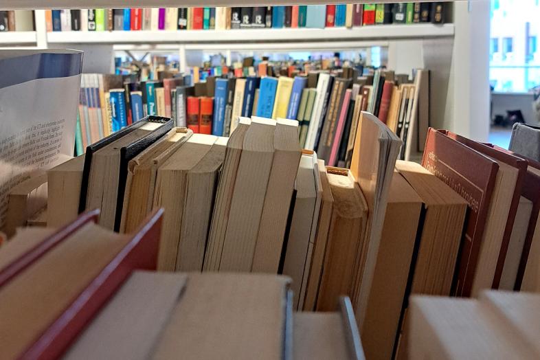 Bookshelves in the Kaisa house