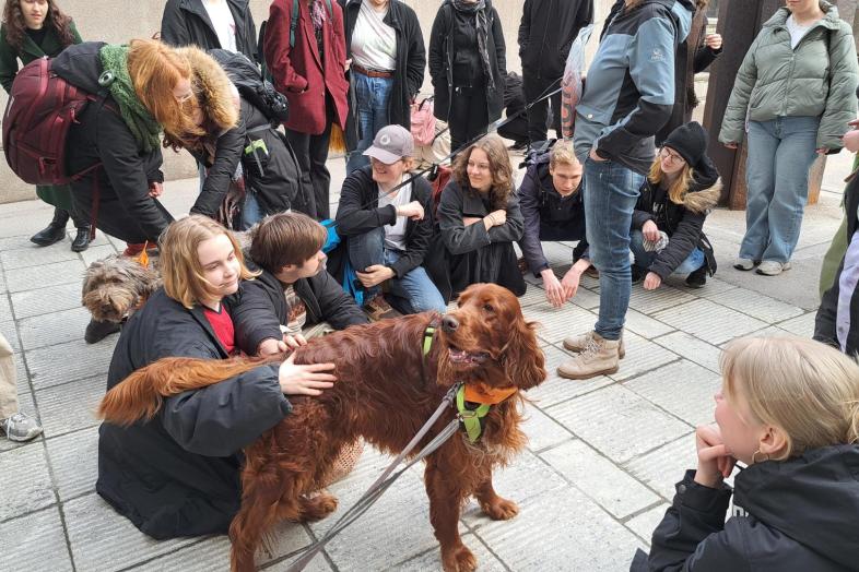 studerande och hundar på gården i Porthania