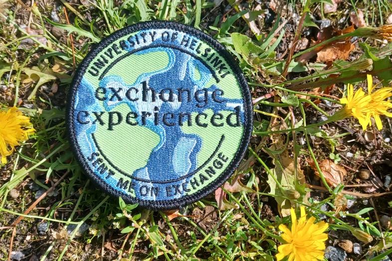 Overall patch on lawn