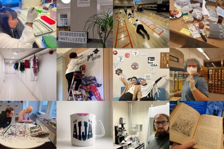 A mosaic of the results of the photo collection.