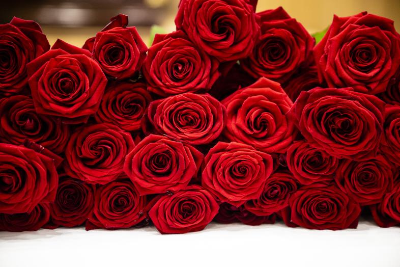 Valmistumisjuhlaruusut