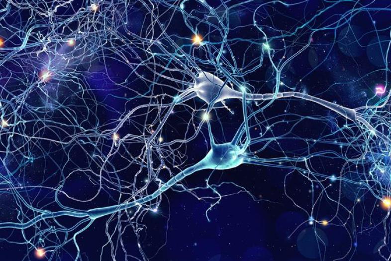 Kuvituskuvaa neuroverkoista.