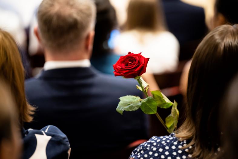 A person holds a red rose in the audience.