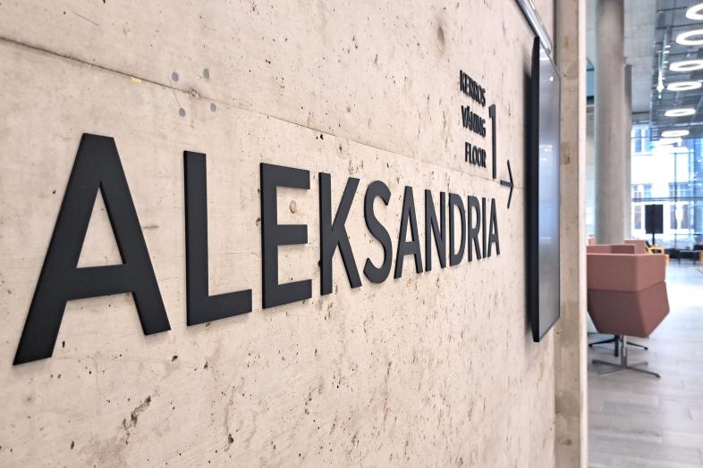 Betoniseinällä teksti "Aleksandria".