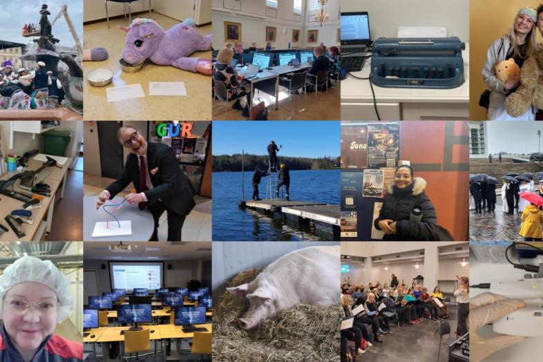 A collage of everyday moments submitted in 2025.