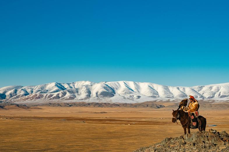 A rider looks over a field.