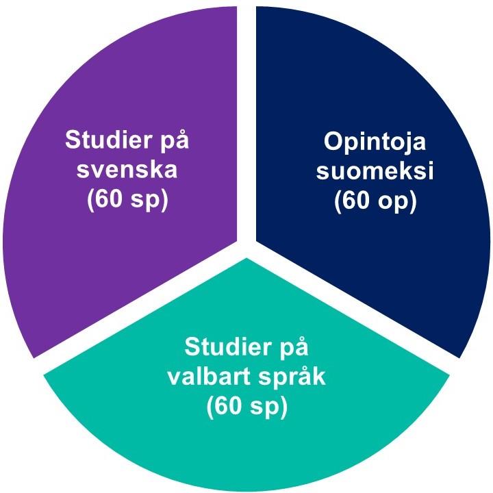 Ett pajdiagram som visar vad en tvåspråkig examen består av. 