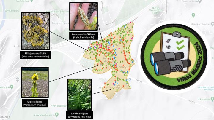 BioBliztin logo ja esimerkkejä lajihavainnoista Viikin kartalla.