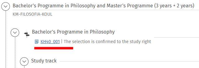 Screen capture of the degree programme's code in the structure.