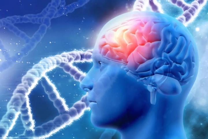 An illustration of a human brain with dna strings in the background.