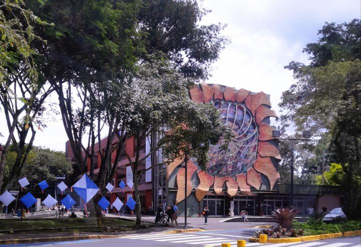 Kuva yliopistorakennuksesta, seinänkokoinen auringonkukkataideteos, trooppisia puita.