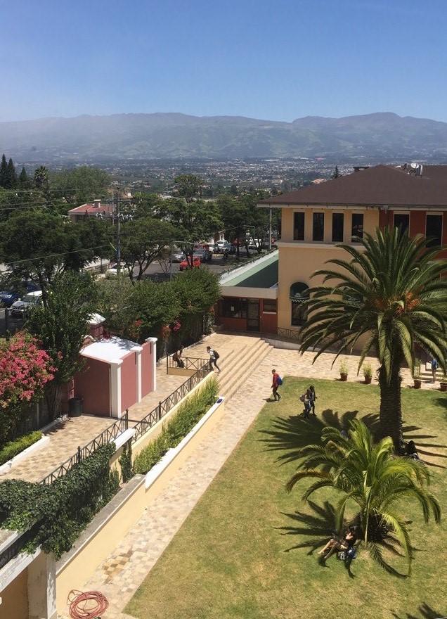 sininen taivas, vuoria taustalla, etualalla palmuja ja rakennuksia