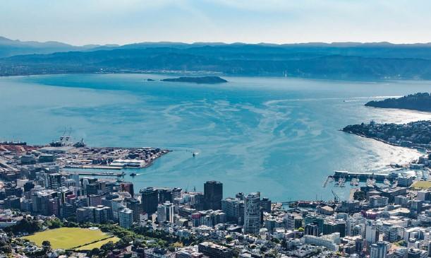 Wellington cityscape.