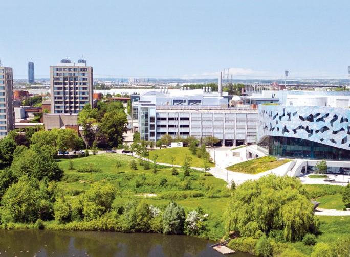 York campus.