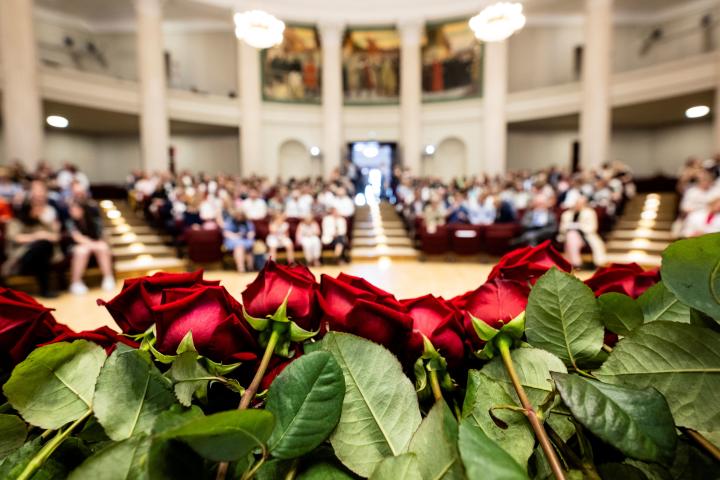 Roses in the foreground, with a festive audience in the background.